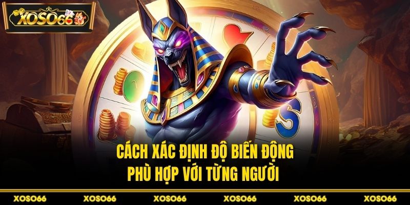 Xác định mức độ biến động phù hợp khi cá cược